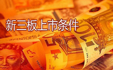 2024年新三板上市具体流程