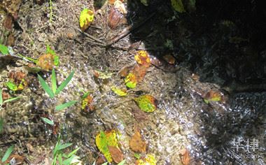 污水综合排放标准