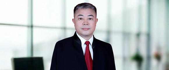 衡阳辩护律师-陈嘉锡