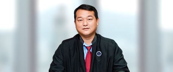玉林受贿罪律师-庞卫